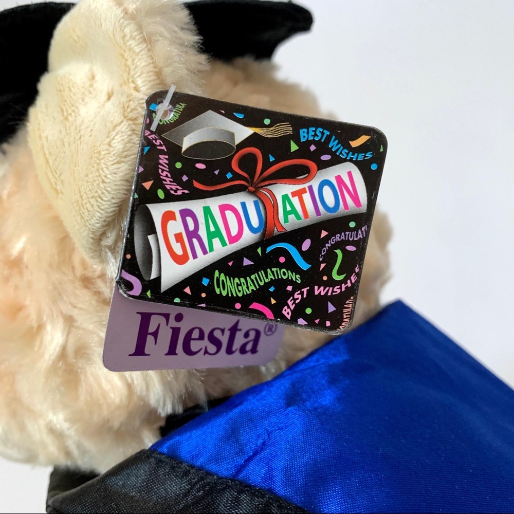 Graduation Bear - Picture 5 of 7